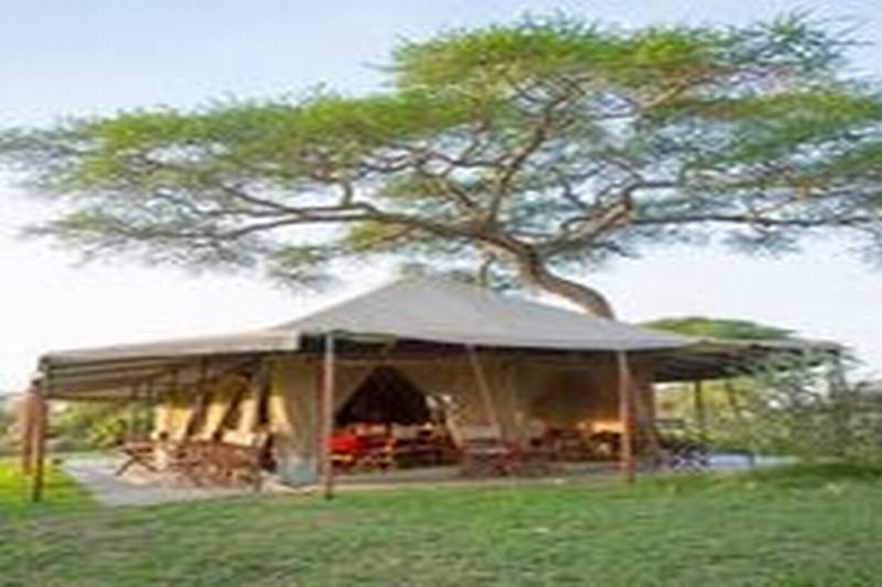 Kisura Serengeti Camp Soronera Ngoại thất bức ảnh