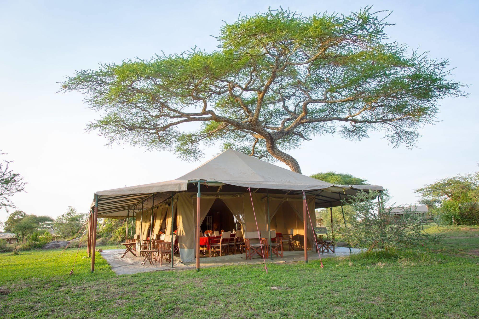 Kisura Serengeti Camp Soronera Ngoại thất bức ảnh